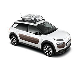 citroen c4 cactus bike rack